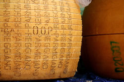 parmigiano