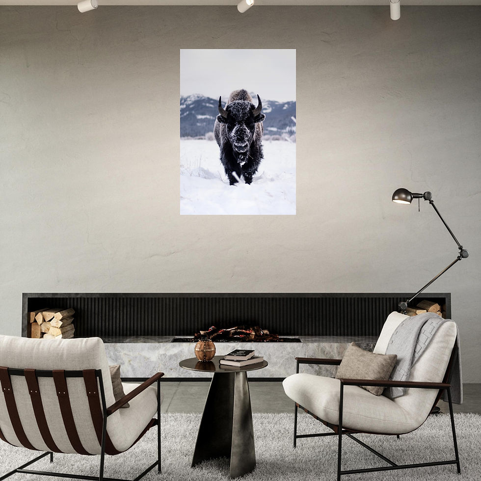 Thumbnail: Frost Covered Bison