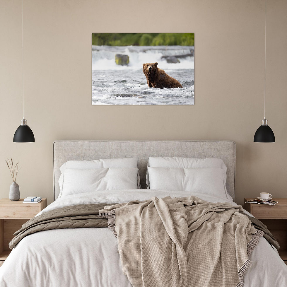 Thumbnail: River Bear