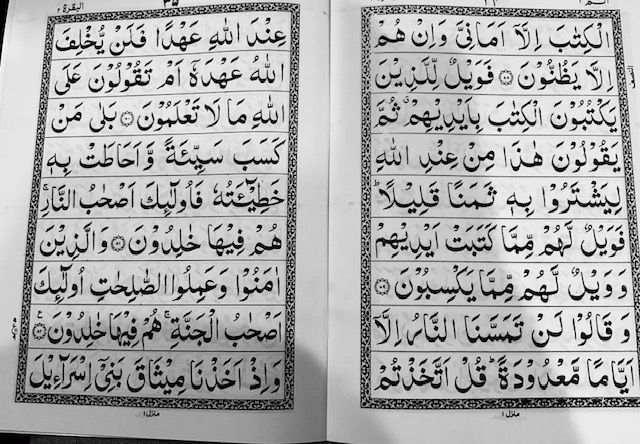 Thumbnail: 30 Para set Arabic Only