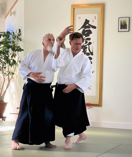 Two adults practicing aikido