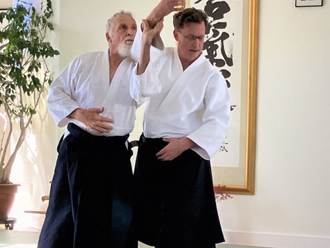 Two adults practicing aikido