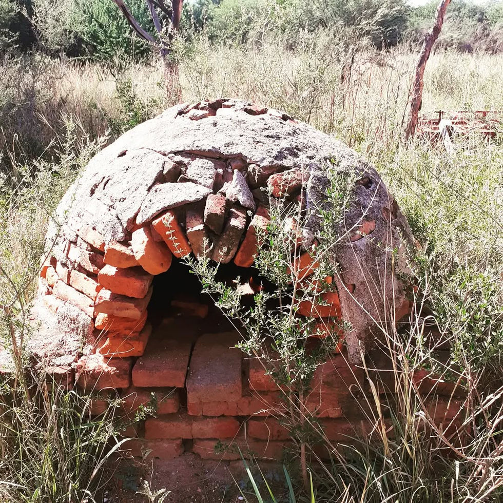 270204684_136594768803085_4885604578646063089_n