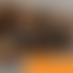 Meeting with Delegation from the British Virgin Islands "Financial Services Commission" and the International Lawyers Association of Panama