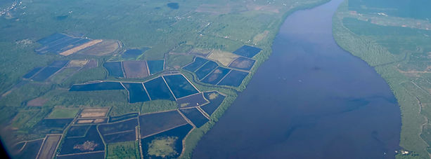 River_export_edited.jpg