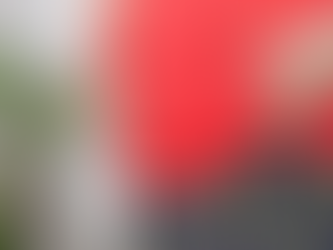 What Are The Health Risks Associated With Obesity?