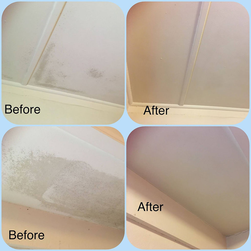 End of Lease Cleaning Campbelltown