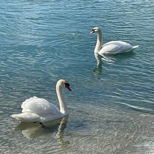 Weekly Recap; 2/23/26-3/1/26