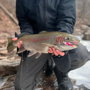 Weekly Recap; 3/16/26- 3/22/26