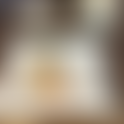 Weekly Recap; 12/22/25-12/28/25