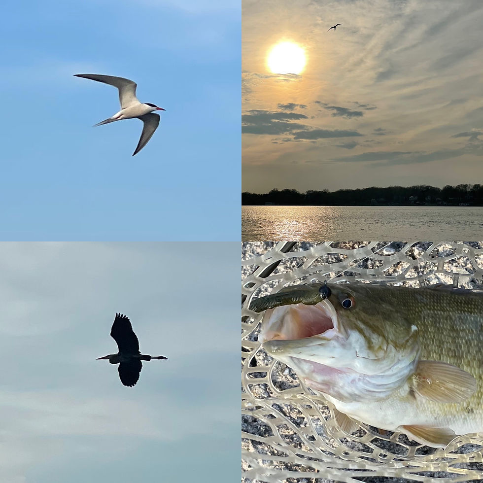 Wednesday night; Upper River