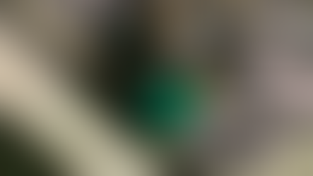 Embrace Your Individual Growth: Navigate the Pitfalls of Comparison