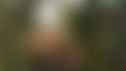 Realm of life after 40