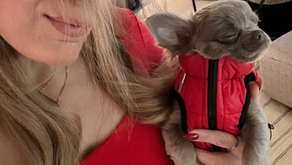 A quiet reminder for 2026, growth isn't always loud