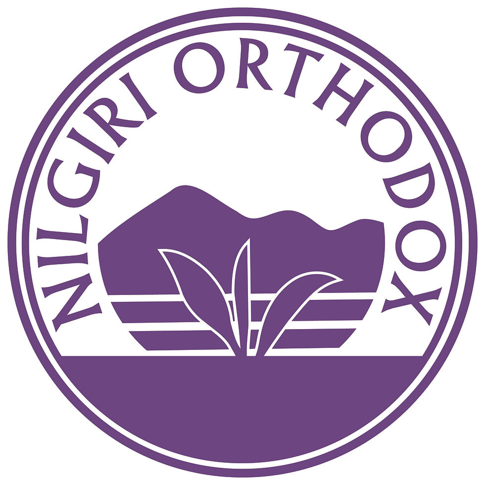 nilgiri-orthodox
