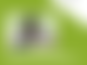 Importancia de una Buena Gestión Contable Desde el Día 1