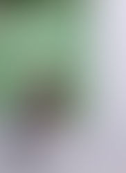 Local Woman Spotlight: Erin Deegan Conner