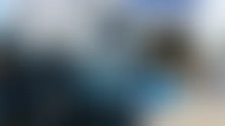 Tigre é marca mais valiosa de materiais para construção, diz ranking InfoMoney e TM20