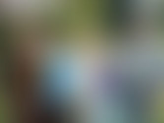 Dois homens brancos e três mulheres brancas posando para uma foto