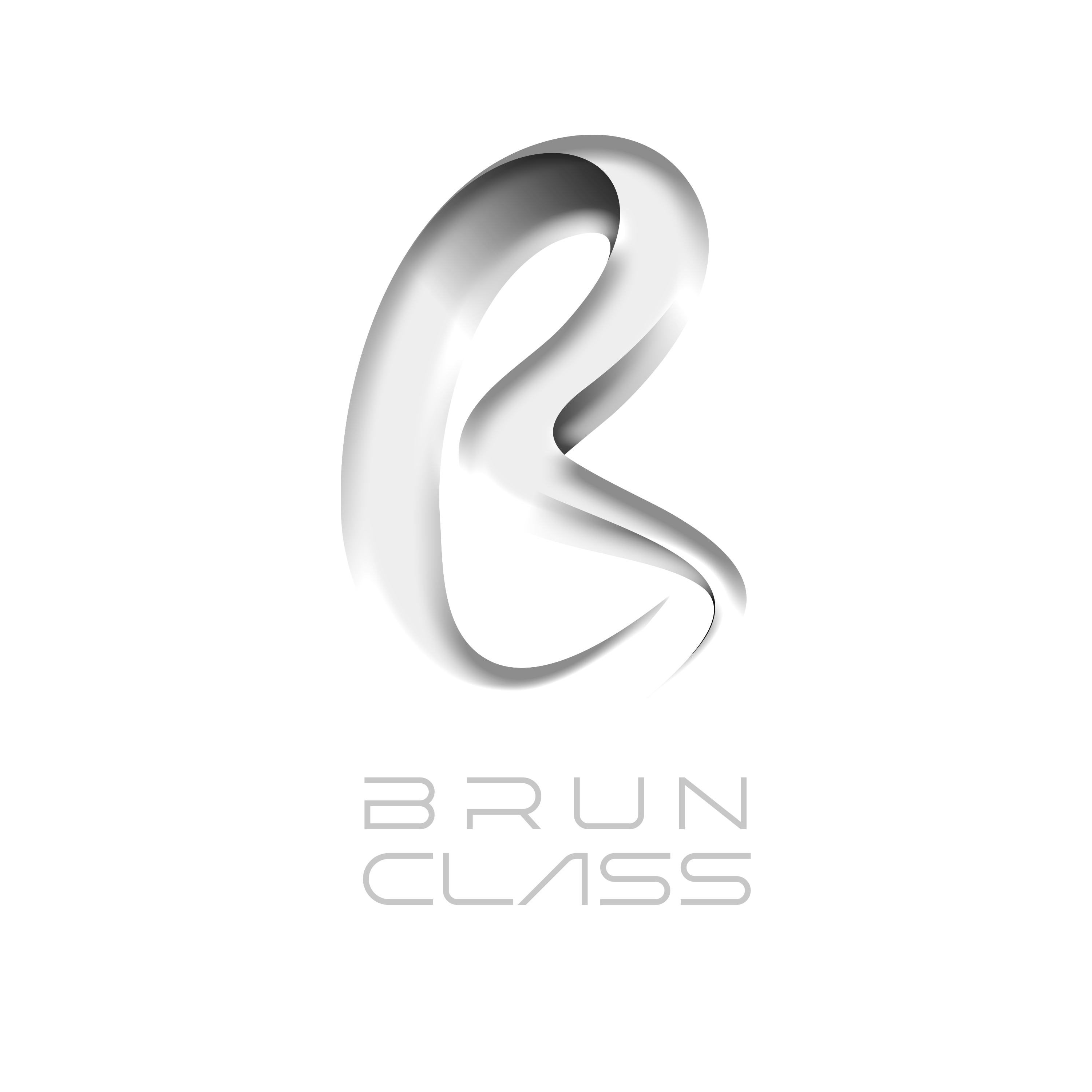 brunclass logo Transp.png