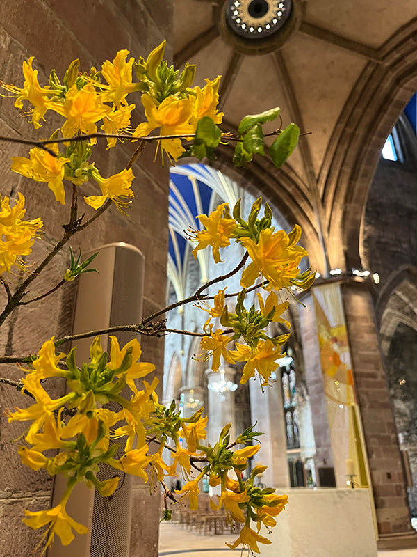 La Cattedrale di Sant’Egidio