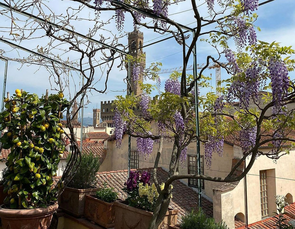 Osteria delle Tre Panche - Hotel Hermitage - Mangiare all'aperto a Firenze