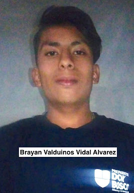 Brayan Valduino Vidal Alvarez