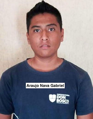 Gabriel Araujo Nava