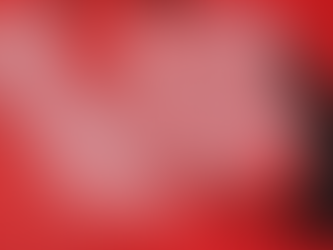 Williamette Week: Garrick Arnold’s Cherry Blossom Paintings Commemorate Love After Death