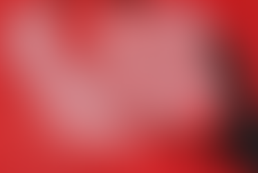 Williamette Week: Garrick Arnold’s Cherry Blossom Paintings Commemorate Love After Death