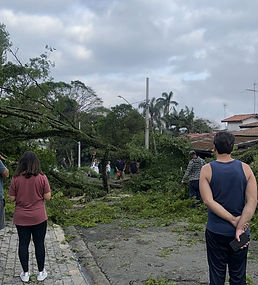 Imagem do WhatsApp de 2024-11-25 à(s) 16.02.28_f50aea9c.jpg