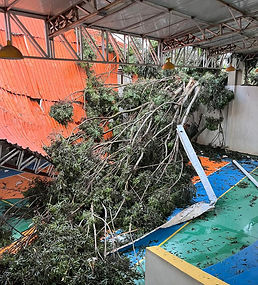 Imagem do WhatsApp de 2024-11-25 à(s) 16.00.38_7cc4dd57.jpg