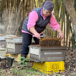 鼎勝養蜂場