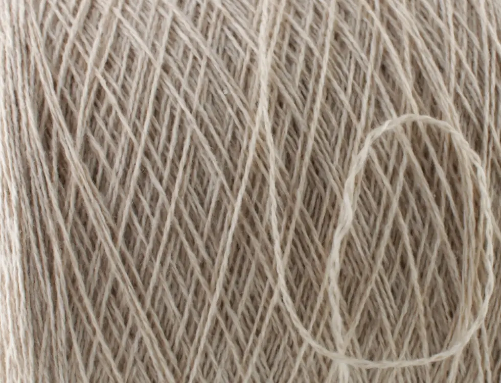 Biagioli Modesto CASHMERE 2/11 champagne 100%WS