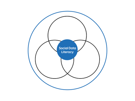 What is social data literacy?