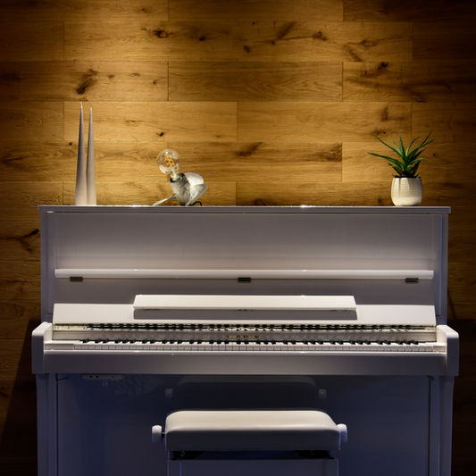 Décoration séjour 