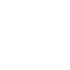 Spinelli Auto Group logo – Canadian automotive dealership partner