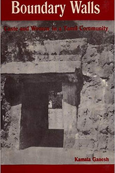 boundary walls.jpg