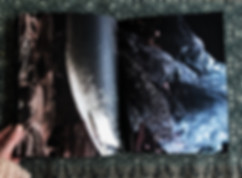 JPEG image-51C79BB9C7CD-4.jpeg