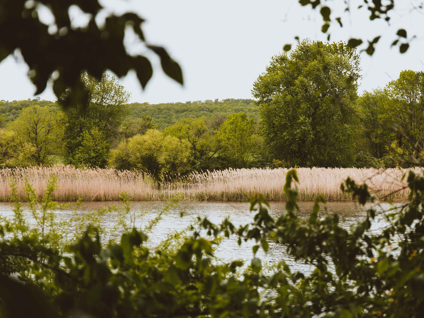 Chester County Parks + Preservation