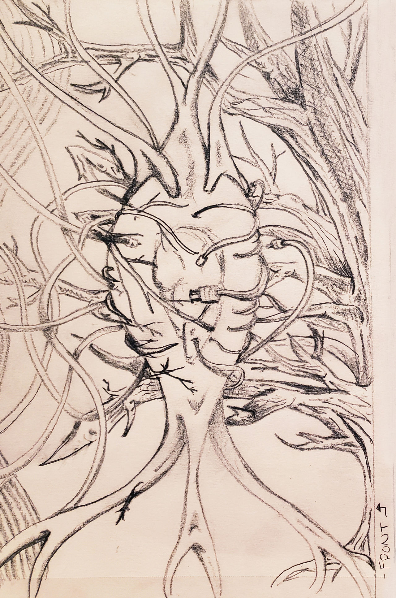 BiophillicDesign_Sketch_1