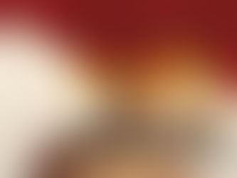 Film Review - Bugonia