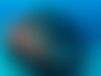 사방다이빙 난파선