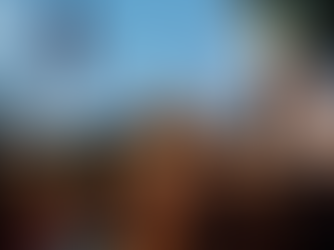 What should I do before going to a protest? 