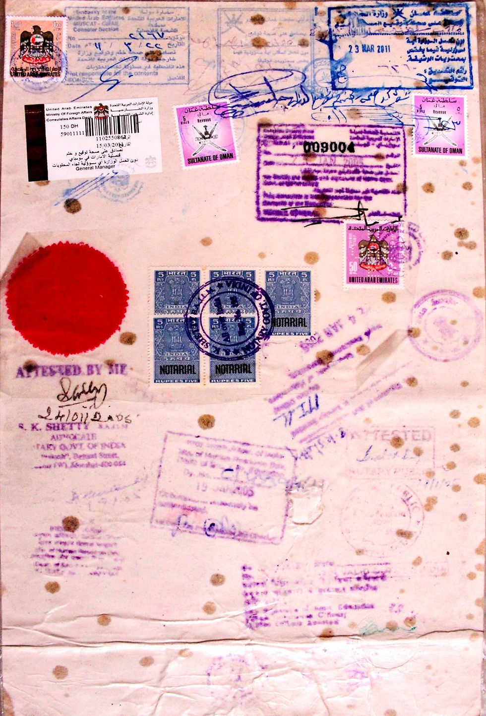 Bachelor Degree Certificate-Back