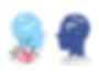 istockphoto-1359368814-612x612_edited.png