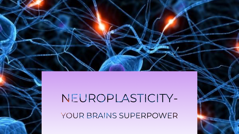 Neuroplasticity - The two sides!