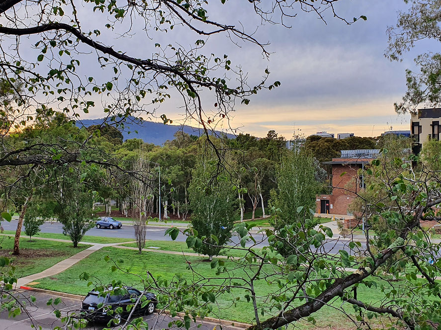 Mt Ainslie.jpg