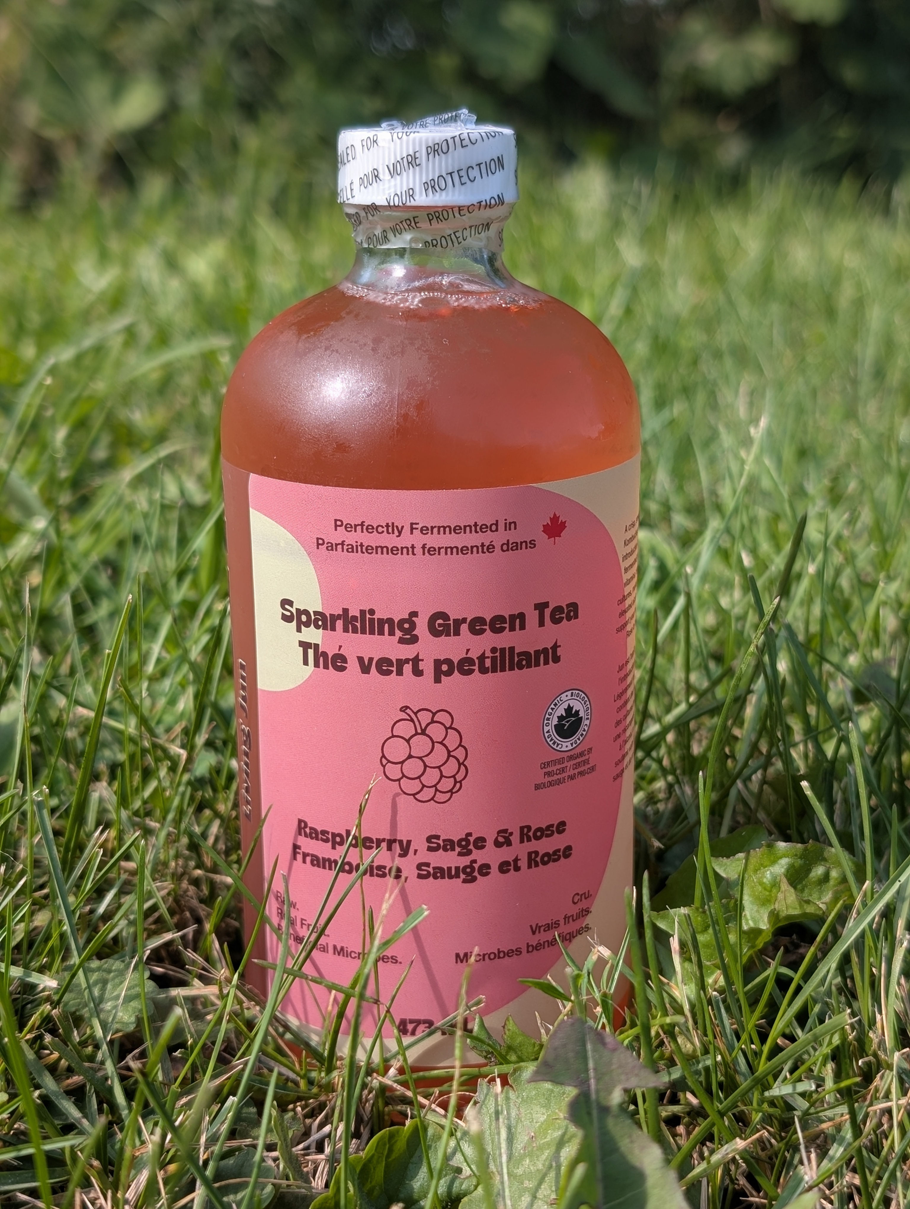 Booch Organic Raspberry, Sage & Rose Sparkling Green Tea