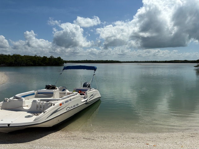 image6